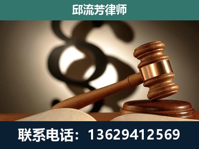 靖西-委托诉讼代理人